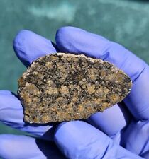 Meteorite**El Milhas 007, Lunar Anorthositic Troctolite**9.286 gram slice, Rare picture