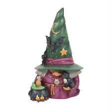 Jim Shore  Witch Gnome with Cauldron-6014490 picture