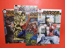 BADGER: SHATTERED MIRROR #s 1, 2, 3, 4 - 1994 COMPLETE SET - ALL NM 9.4 COPIES picture