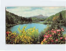 Postcard Loch Ard And Ben Lomond Scotland picture