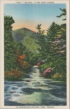In Shenandoah National Park Virginia Linen Vintage Post Card picture