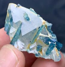 117 Carats Very Cute Blue tourmaline Crystals  Bunch Specimen With Quartz picture