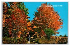 GOETZVILLE Michigan ~ Hiking trail ~ Fall colors picture