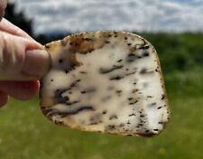 Montana Moss Agate Slab 28g picture