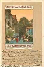 Postcard C-1905 Arts Crafts Karlsbad Germany Haw Licek Artist undivided 23-10481 picture