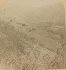 1899 GUAYAMA PORTO RICO LITTLE FARMS ON THE HILLSIDES UNDERWOOD STEREOVIEW 33-53 picture