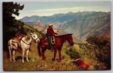 Postcard Deer Hunting Mountains Great West Horseback Rider UNP VTG Petley Unused picture