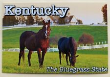 Postcard KY. Horses. Kentucky  picture