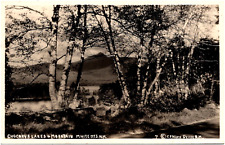 Chocorua Lakes & White Mountains New Hampshire NH 1920s RPPC Postcard Photo picture