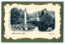 c1910 Portion of Park Modenbacher Court Rhineland-Palatinate Germany Postcard picture