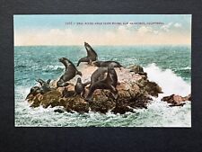 Postcard - SEAL ROCKS NEAR CLIFF HOUSE SAN FRANCISCO CALIFORNIA. R58 picture