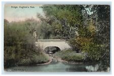 1911 Oughton's Park Bridge Dwight Illinois IL Posted Antique Postcard picture