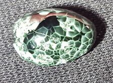 Chlorastrolite Michigan Greenstone rare gem picture