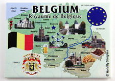 BELGIUM EU SERIES FRIDGE COLLECTOR'S SOUVENIR MAGNET 2.5