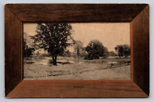 Meadville Pennsylvania Summer Meadow View Wood Framed c1909 PA Postcard picture