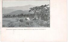 Intervale View Of Mount Washington From Pendexter Mansion 1905 NH  picture