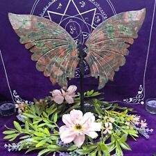 Pretty Large Plum Blossom Jade Crystal Butterfly Wings Rare Jasper picture