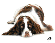 ✤ Original Oil Portrait Painting ENGLISH SPRINGER SPANIEL Artist Signed Dog Art picture