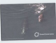 Postcard North Atlantic Right Whales, Ocean Conservancy picture