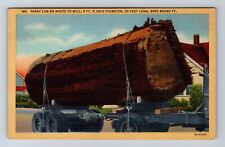 OR-Oregon, Giant Log En Route To Mill, Antique, Vintage Postcard picture