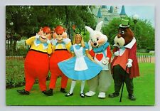 Postcard Disney Alice in Wonderland Characters Florida, Retro O20 picture