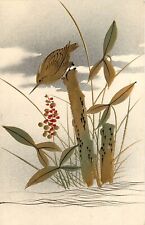 Hand-Painted Japanese Art Postcard; Fishing Bird Watches Water, Metallic Inks picture