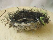 Wow Real Natural Bird Nest Found next to lake in SC Twigs & Recycled Materials picture