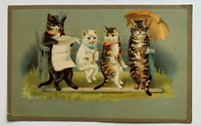 Vintage ca 1900s Postcard Cats Kittens On Bench umbrella reading anthromorphic picture