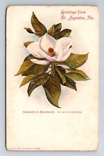 St Augustine FL-Florida, General Greetings, Magnolia Blossom, Vintage Postcard picture