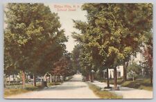 Milton Mills New Hampshire, School Street View, Vintage Postcard picture