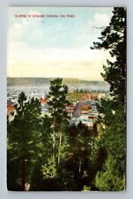 Spokane WA-Washington, Glimpse Through The Pines, Vintage Postcard picture