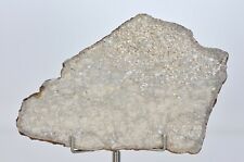 24.4g Ungrouped Achondrite Meteorite Beautiful Slice - NWA 12338 I TOP picture