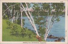 Naugatuck Connecticut Greetings Postcard picture