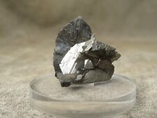 Small TN Arsenopyrite Crystal Specimen San Antonio Mine Santa Eulalia Chih Mex picture
