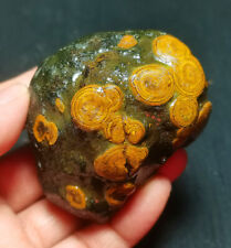 Rare 187G China Natural Inner Mongolia Gobi Eye Agate Stone Collection WYY2302 picture