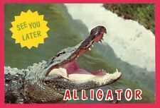 Postcard - See you Later Alligator - Florida picture