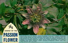 Postcard: THE PASSION FLOWER picture