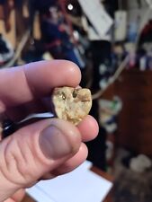 Extremely Rare Find, Gold Leaf In Quartz picture