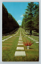 Winston-Salem NC-North Carolina God's Acre Moravian Graveyard Vintage Postcard picture