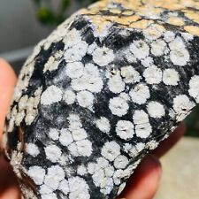865g Large Raw Snowflake Obsidian Quartz Crystal Volcanic Rock Healing Specimen picture