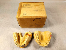 Vintage Army War Department 2pc Plaster Cast Dental Impressions in Original Box picture