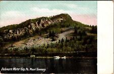 Delaware Water Gap, PA Mount Tammany 1900s Antique Postcard F367 picture