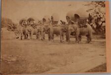 1868 Original Photo King Chulalongkorn Thailand Mongkut on Elephants RARE picture