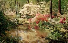 Azaleas, Gardens, Columbus, Georgia GA chrome Postcard picture