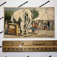RARE LATE 1800’S BARNUM’S WHITE ELEPHANT CIRCUS TENT FAIRBANK SCALE TRADE CARD picture