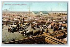 1907 The Union Stock Yards, Buffalo Scene, Chicago IL Posted Postcard picture