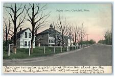1908 Maple Avenue Residences House Exterior Clarkfield Minnesota MN Postcard picture