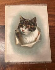 Vintage 1912 Tobacco Silks - Domestic Animals - Large - Cat picture
