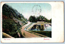 Montreal Quebec Canada Postcard Park Drive Pond Road View 1906 Antique picture