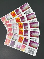 SEALED 2023 Tulip Blossoms US 100 Count (5 Sheets of 20) picture